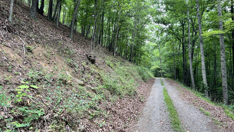 Virginia: Kelly Hollow Hero Photo
