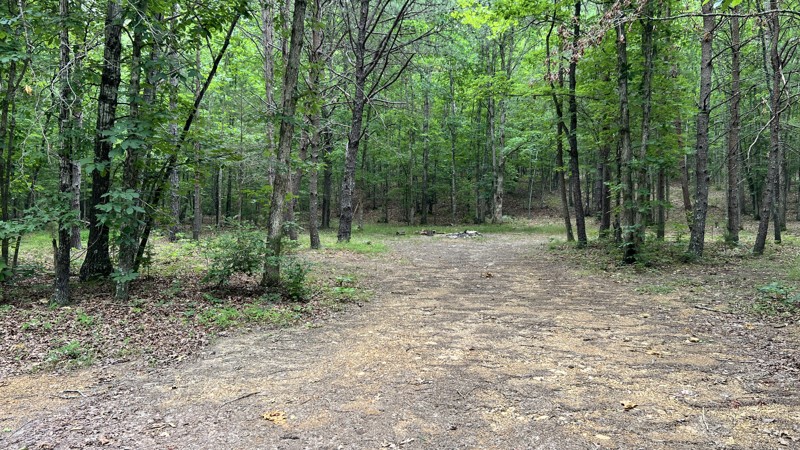 Patterson Creek Trail Review Photo