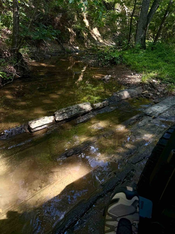 Patterson Creek Trail Review Photo