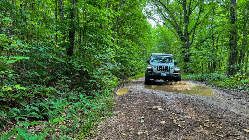 Bald Mountain Trail Review Photo