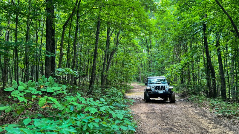 Bald Mountain Trail Review Photo