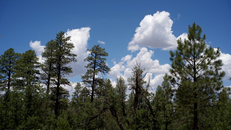 Arizona: Sky Hi Road Hero Photo