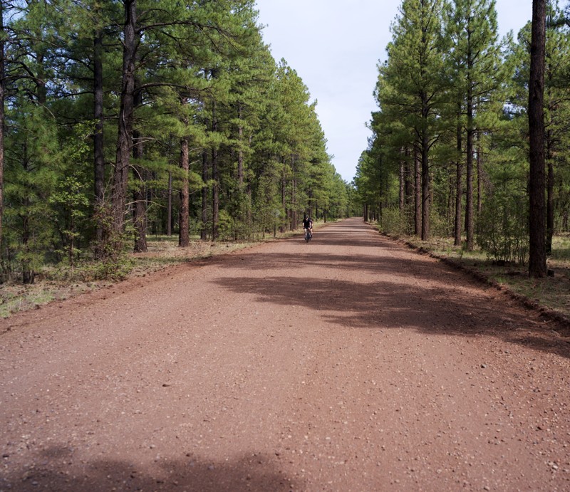 Sky Hi Road Trail Review Photo