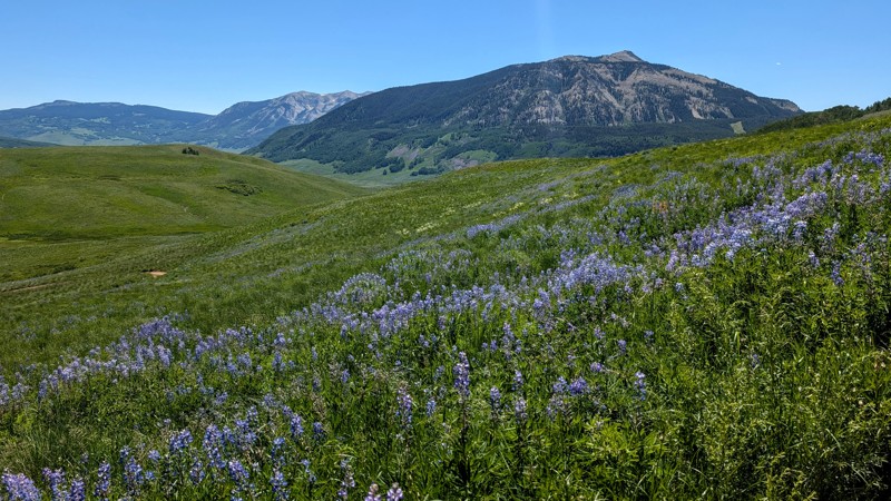 Colorado: Deer Creek Road Hero Photo