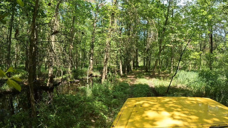 East Johnson Road Trail Review Photo