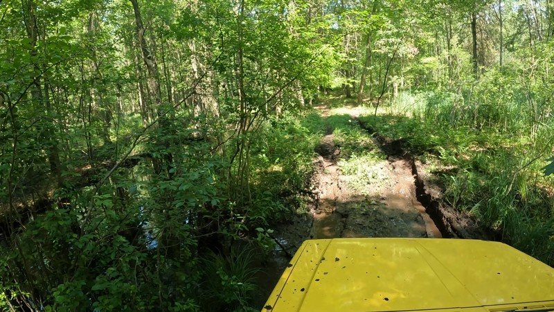 East Johnson Road Trail Review Photo