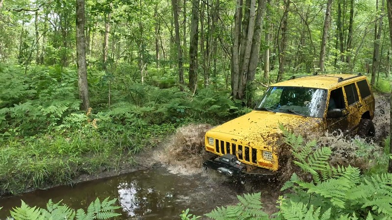 Michigan: Taco Trail Hero Photo