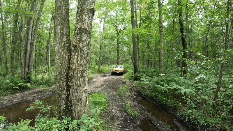 Taco Trail Trail Review Photo