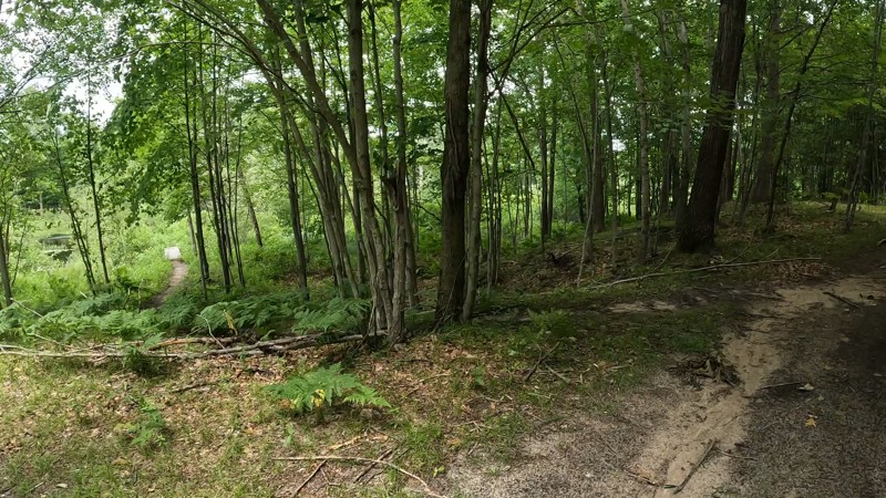 Taco Trail Trail Review Photo