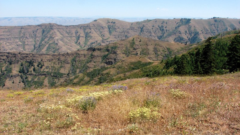 Horse Creek and Joseph Creek Road Trail Review Photo