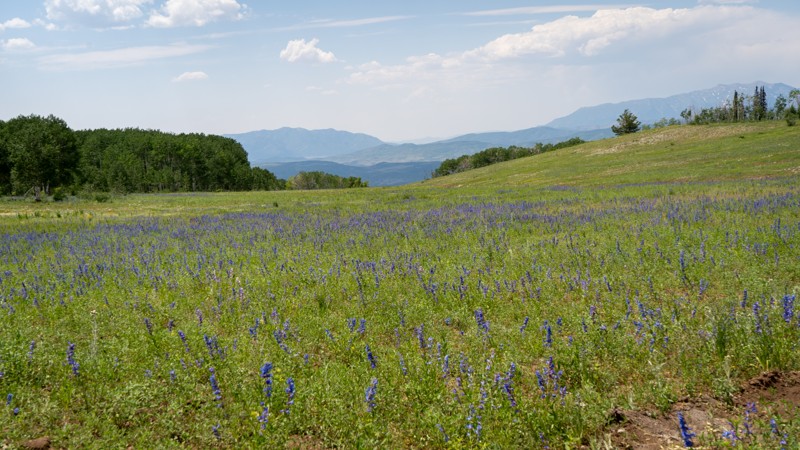 Utah: Oak Creek Ridge Hero Photo