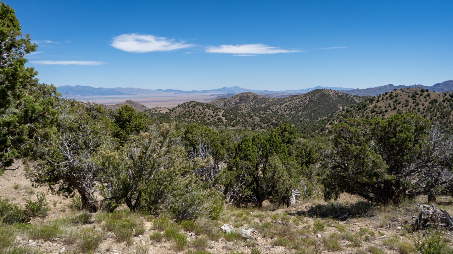 Hero: Cedar Mountain Road