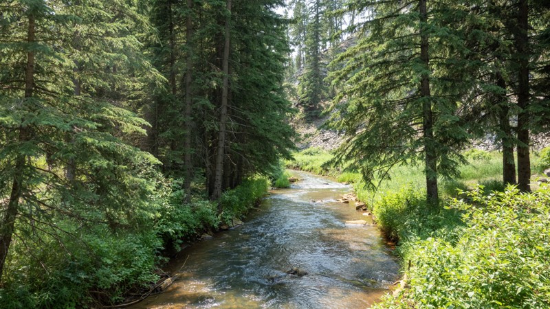 South Dakota: Castle Creek Road Hero Photo