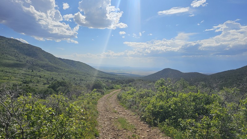 Wild Goose Road Trail Review Photo