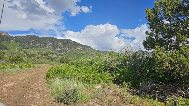 Wild Goose Road Trail Review Photo