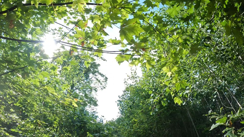 MudCreek Trail Trail Review Photo