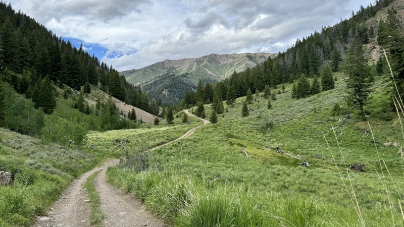 Lake Creek Road Trail Review Photo