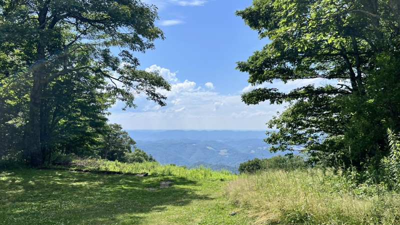 Bickle Knob Observation Tower Trail Review Photo