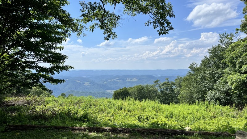 Bickle Knob Observation Tower Trail Review Photo