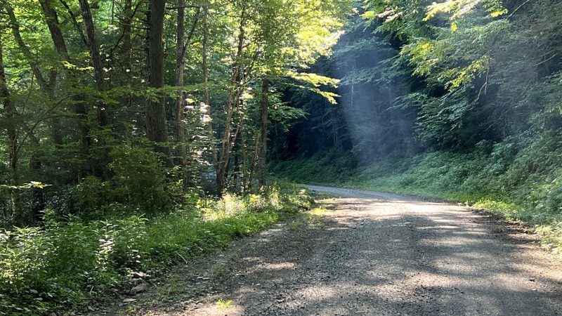 Shavers Fork Road Trail Review Photo