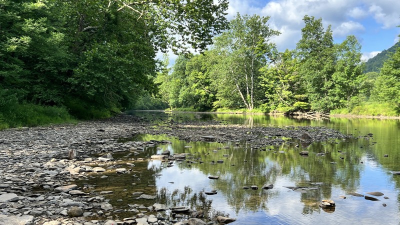 Shavers Fork Road Trail Review Photo