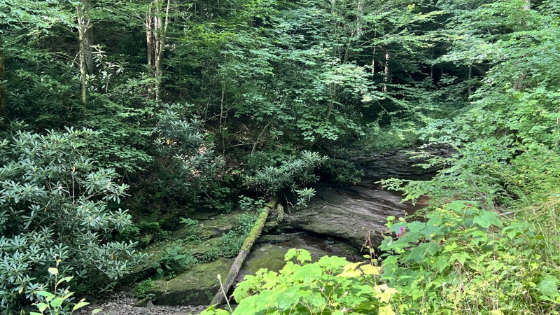 Elklick Trail Review Photo
