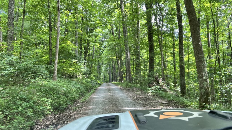 Fork Mountain Trail Review Photo