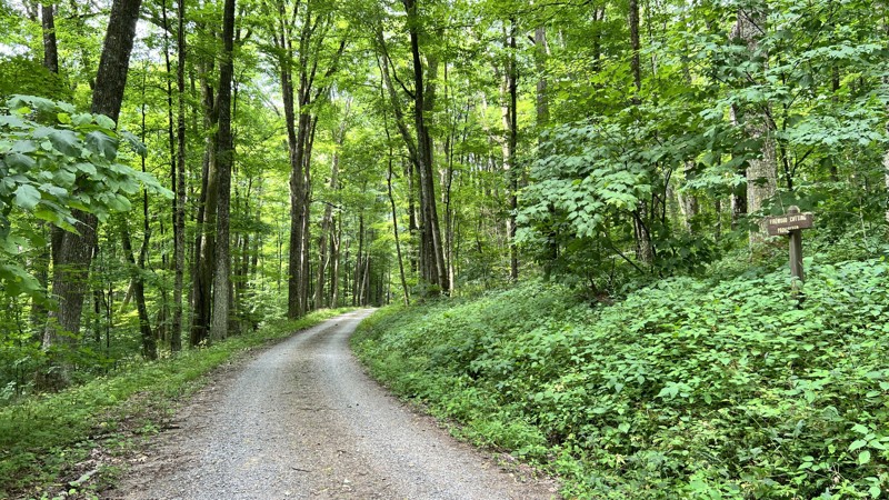 Fork Mountain Trail Review Photo