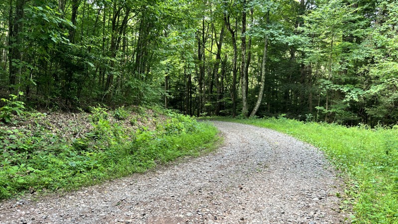 Sugar Camp Trail Review Photo