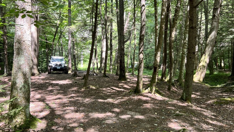 Little River Dispersed Camping Area Trail Review Photo