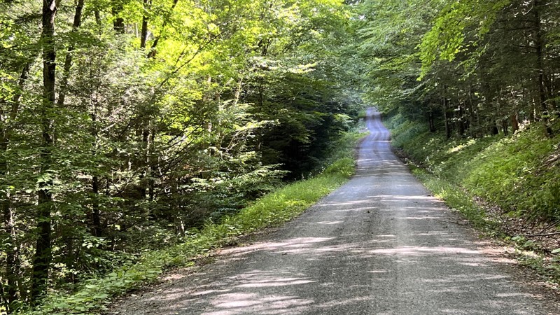 Little River Dispersed Camping Area Trail Review Photo