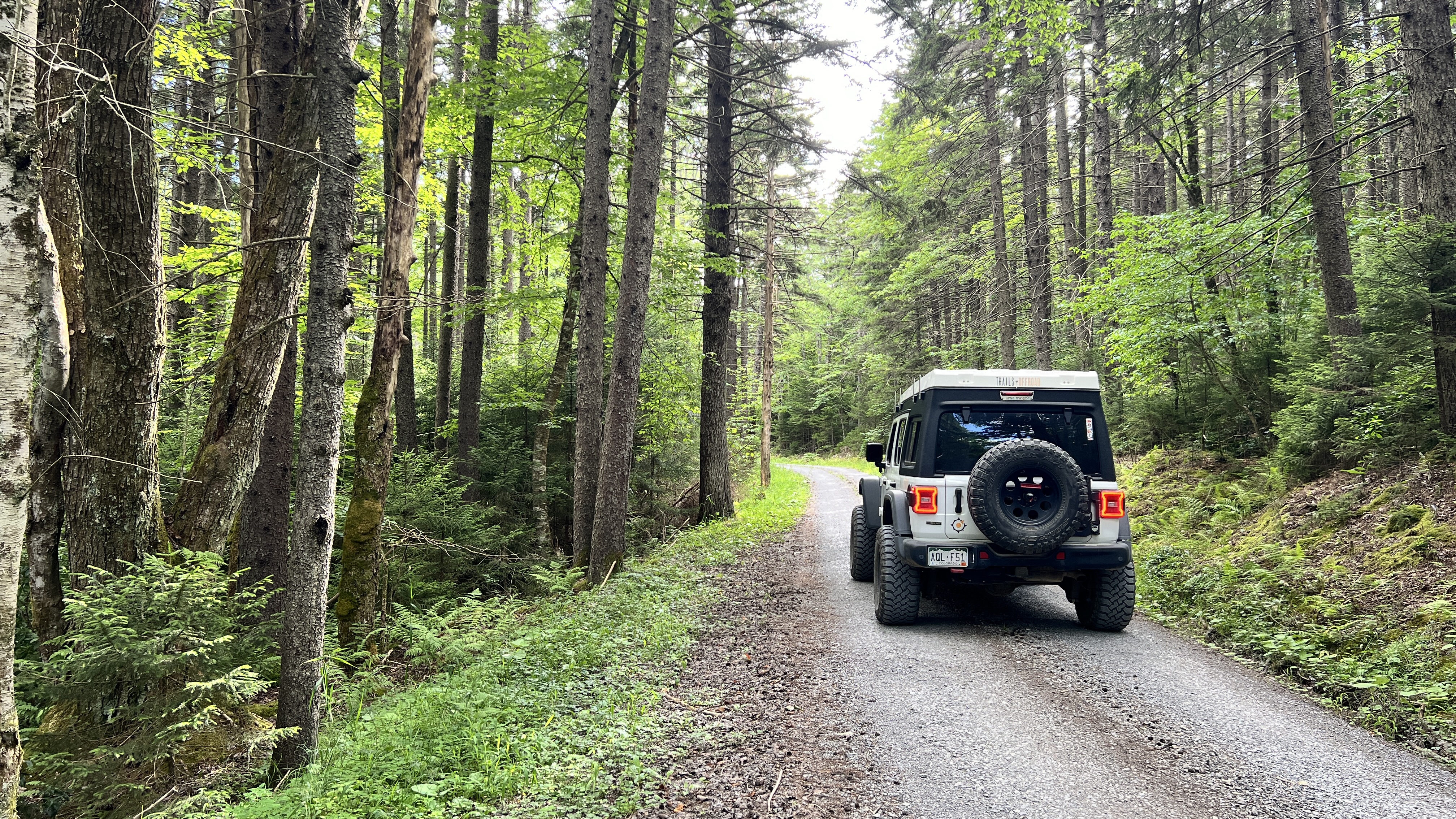 Cheat Mountain - Best Trails