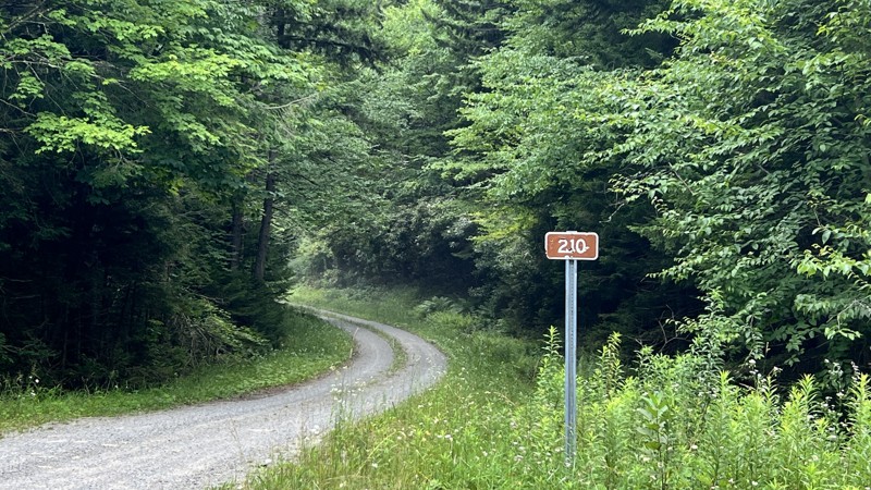 Cheat Mountain Trail Review Photo