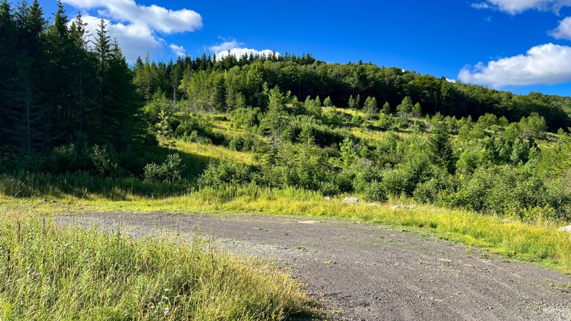 Old Mine Trail Review Photo