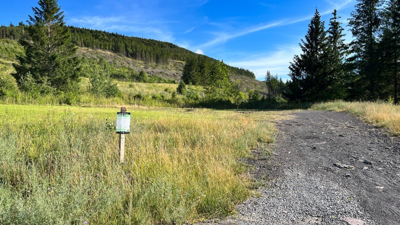 Old Mine Trail Review Photo