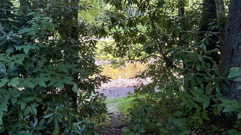 River Road Trail Review Photo