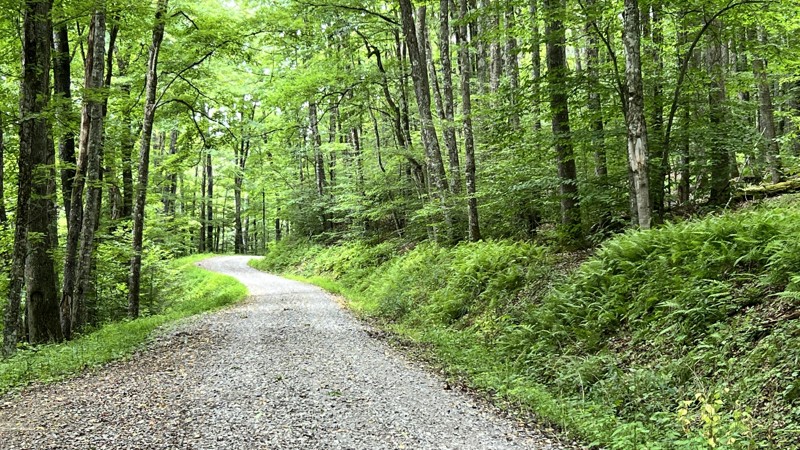 Allegheny Trail Review Photo