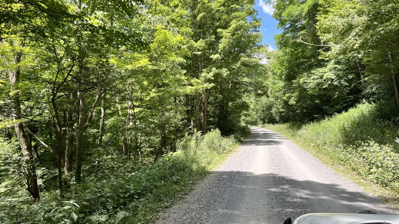 Buffalo Fork Trail Review Photo