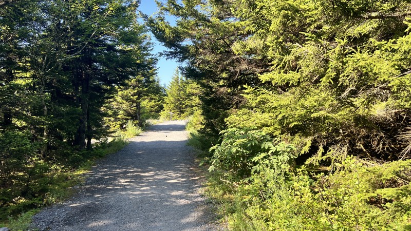 Spruce Knob Trail Review Photo