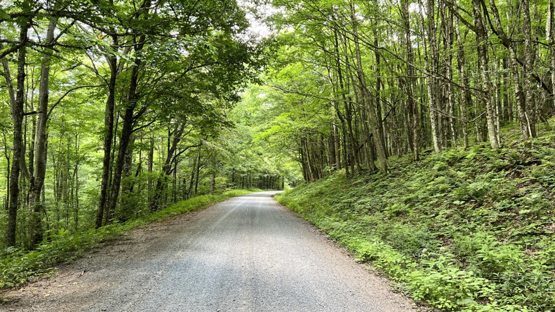 Upper Williams Trail Review Photo