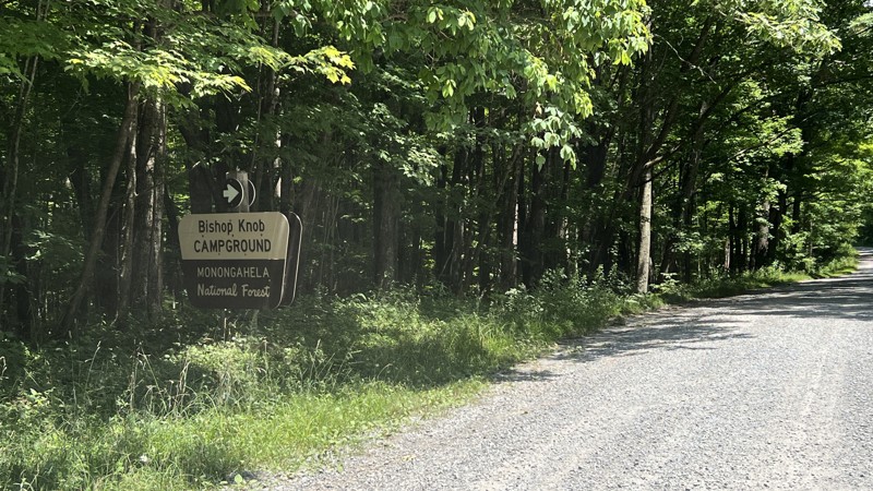 Cranberry Dyer Trail Review Photo