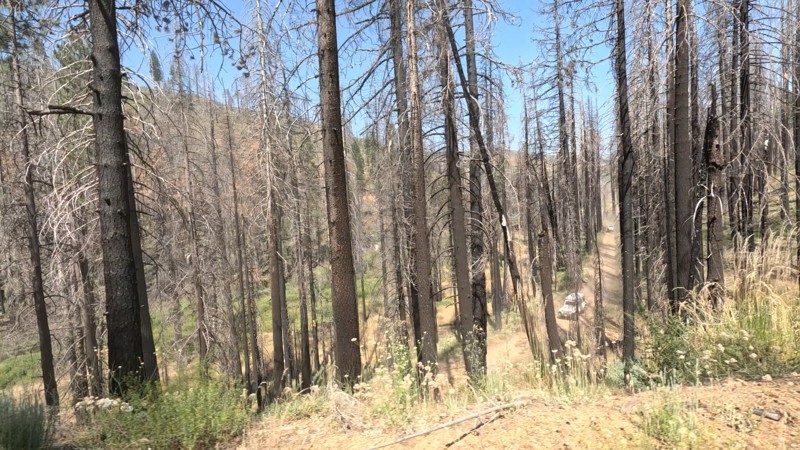 California: Mosquito Creek Trail Hero Photo