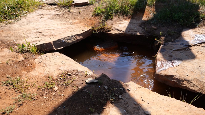 Mosquito Creek Trail Trail Review Photo