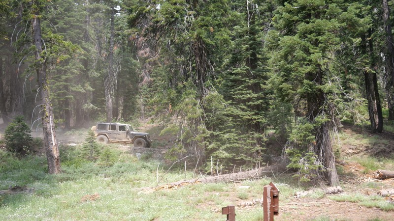 Sloat McRae Road Trail Review Photo