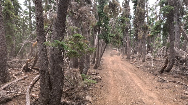 Gold Valley OHV Trail Trail Review Photo