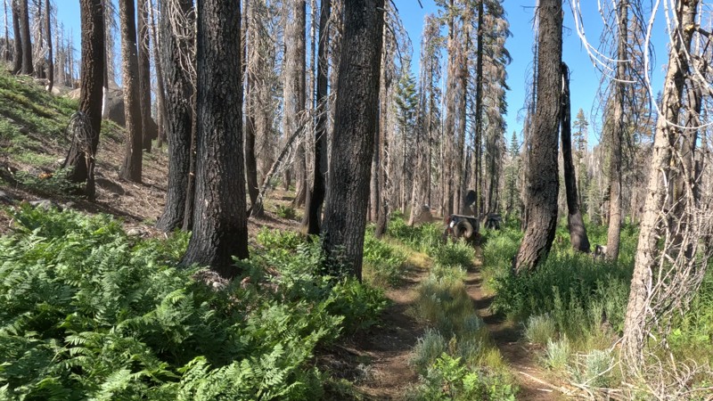 California: Rock Creek High Lakes aka Bear Lake Trail Hero Photo