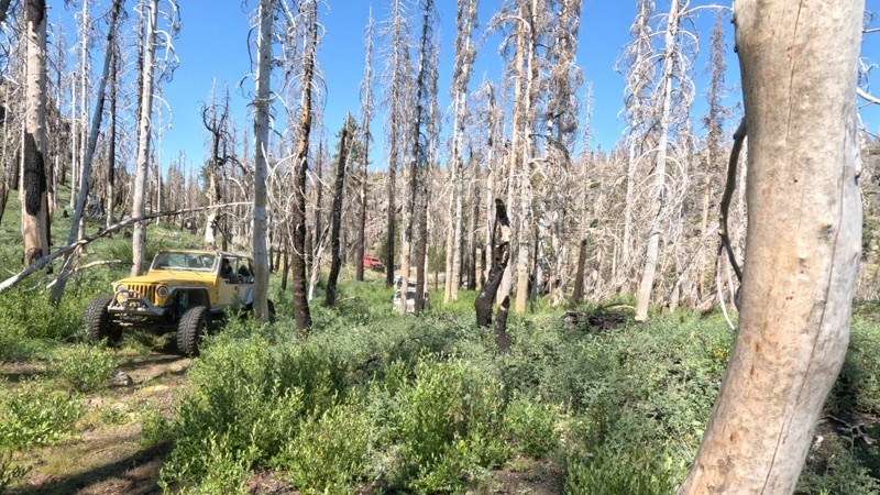 Rock Creek High Lakes aka Bear Lake Trail Trail Review Photo