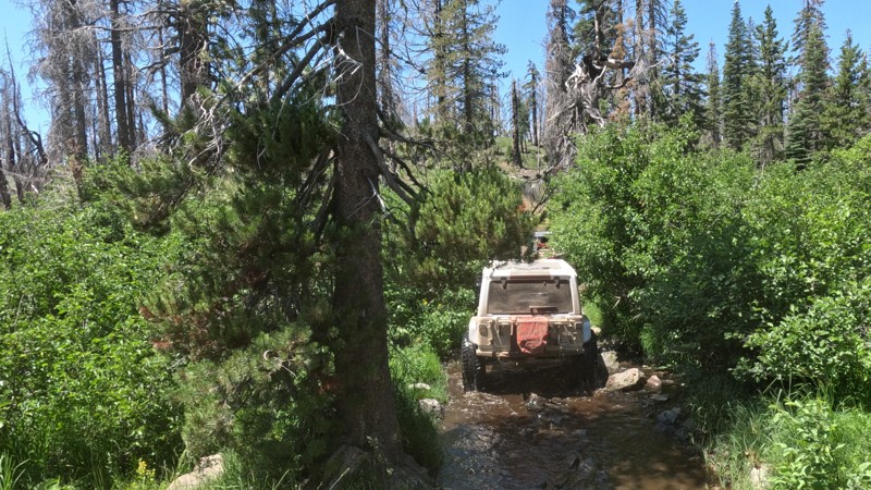 Williams Creek Trail Review Photo