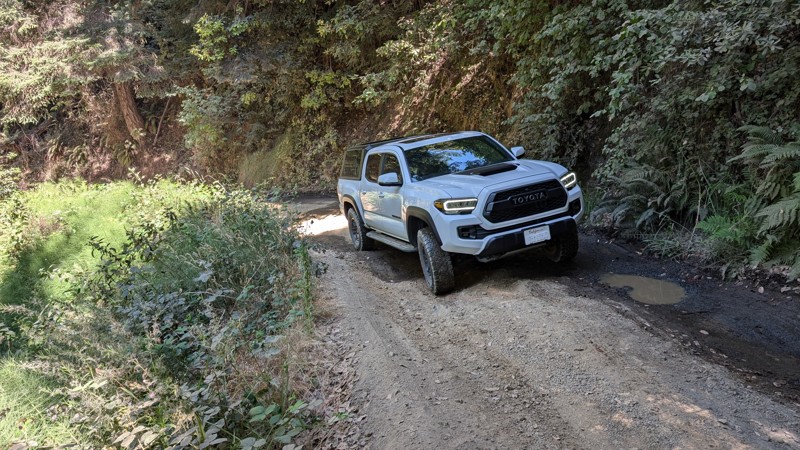 Usal Road Trail Review Photo
