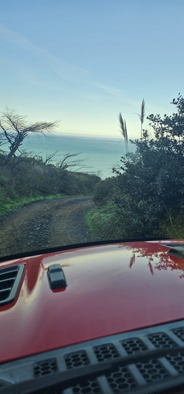 Usal Road Trail Review Photo